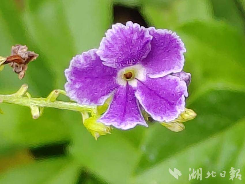 亿酷手机版大厅